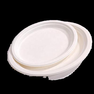 Chine Coupe de smoothie compostable imprimée sur mesure Bagasse à la canne à sucre 20 oz à vendre