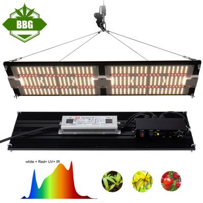 China Seed Starting Dimmable Samsung lm301h evo 240W Led Plant Grow Light Board Full Spectrum 660nm IR UV Mix For 3ft x 3ft Tent Grow for sale