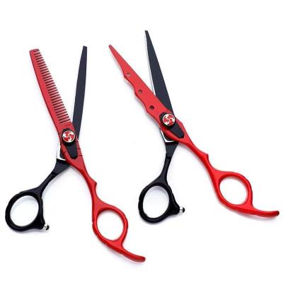 China Embroidery 2022 New Products Professional Beauty Scissors OEM Stainless Steel Hair Thinning Scissors for sale