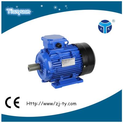 China Totally enclosed three-phase electric motor with Y2 joint for sale