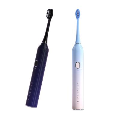 China High Quality Adult Whitening Rechargeable Soft Hair Sonic Electric Toothbrush Automatic Waterproof DDYS-01 for sale