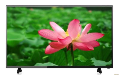 中国 バックライトHD DVDプレイヤーLED TV 18.5」USBのマルチメディアの演劇サポートVGAの入力 販売のため