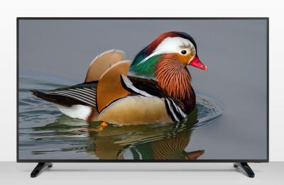 China OEM ODM huisgebruik 48“ DLED-TV, van de de muursteun van TV van de machtsbesparing Dunne Geleide de lijsttribune Te koop