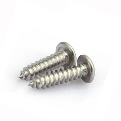 China Dutch stainless steel! cheese head self-tapping screw for sale