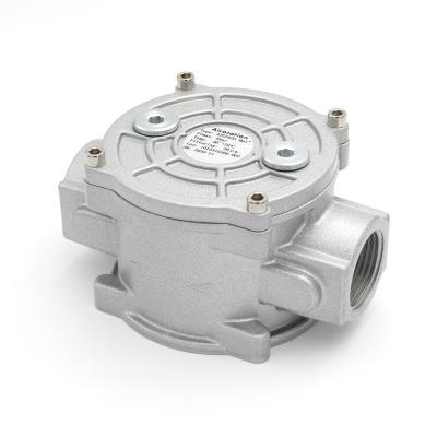 China Industrial Reliable Performance Lpg Gas Filter Automatic Burner Atgf Gas Filter for sale