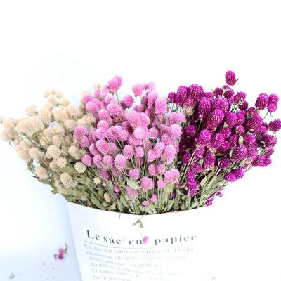 China Dried Flower Preserved Flowers Hot Sale Rose Pink Bouquet Artificial Flowers Dried Flowers For Home Wedding for sale