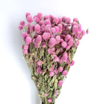 China Real Plants Dried Flowers Decorative Artificial Flower For Wedding Valentine Gift Preserved Flowers for sale