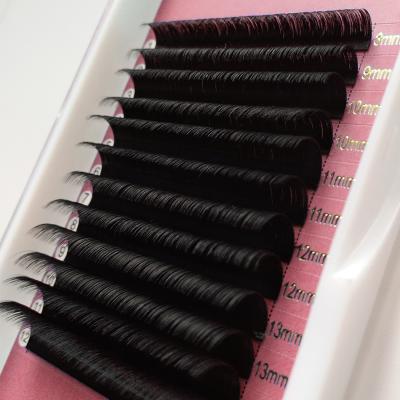 China Hot Factory Price Natural Soft Ellipse Wick Wholesale Chinese Ellipse Flat Lash Private Label Lash Extension Flat for sale