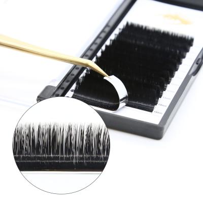 China Wholesale C cc D Double Density Natural Soft Curl New Easy Fan Blooming Tend Dark Black Easy Lashes for sale