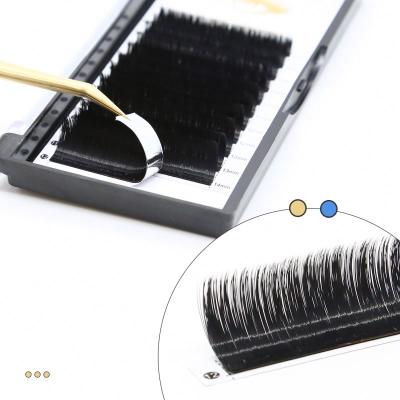 China Lash Extensions Factory False Eyelash Extension Blooming Fans 100% Fan Volume Russian Private Label Easy Hand Made Wholesale Volume for sale