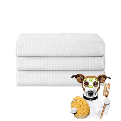 China Sustainable Super Absorbent Nonwoven Biodegradable Pet Compressed Disposable Towel for sale