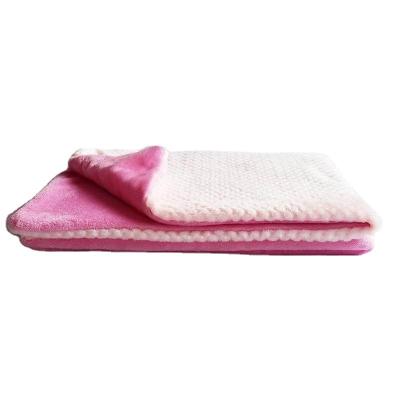 China Sustainable Fluffy Premium Fleece Pet Blanket Comfortable Soft Pet Blankets Pet Warm Blankets for sale