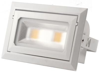 China Energy Saving 40W COB LED Flood Light 80 CRI Indoor Dimmable Floodlight for sale