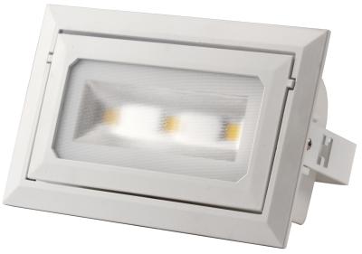 China 1000Lm Cold White Cree LED Flood Light 30W High Lumen LED Aluminum Housing for sale