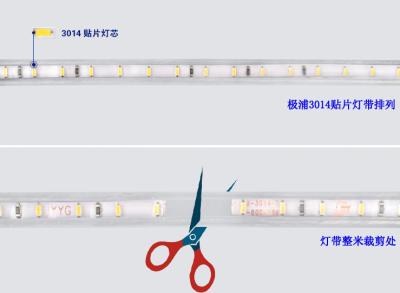 Cina Modello ad alta tensione AC220V 120LED dell'iniezione della luce di striscia SMD3014 chiaro in vendita