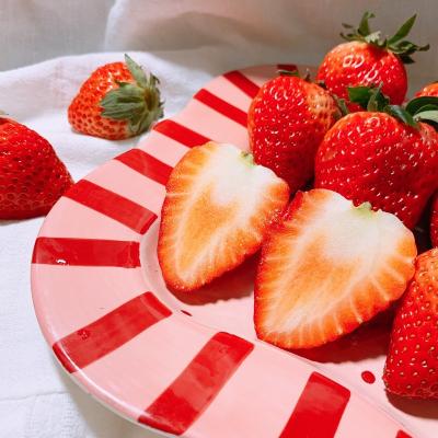 China Fresh Strawberry Fresh Red Strawberry China White Strawberry 15 Days Storage Time for sale