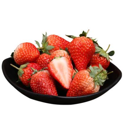 China Fresh Strawberry Fresh Red Strawberry China White Strawberry 15 Days Storage Time for sale