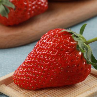 China Fresh Strawberry Fresh Red Strawberry China White Strawberry 15 Days Storage Time for sale