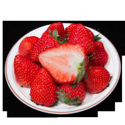 China Fresh Strawberry Fresh Red Strawberry China White Strawberry 15 Days Storage Time for sale