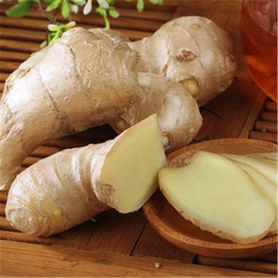 China Fresh Comprehensive In Specifications Market Price Fresh Oil Ginger Exporter For Fresh Ginger for sale