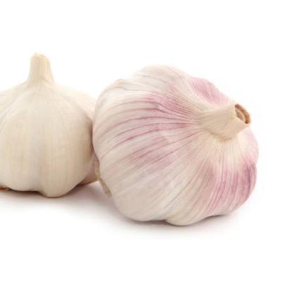 China Good Supplier Chinese Fresh Farmer Garlic 6p Fresh Dry White Garlic for sale