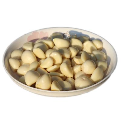 China Good Supplier Chinese Fresh Farmer Garlic 6p Fresh Dry White Garlic for sale