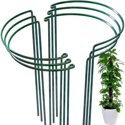 China Half Round Steel Metal Garden Plant Support Flower Plant Support Stake for sale