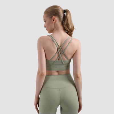 China Breathable Women Fashion Yoga Seamless Sports Bra Suit Seamless Yoga Tops Fitness Yoga for sale