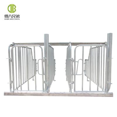 China Commercial use of cratePig gestation crate for farms insemination, pig gestation or gestation pen for sale