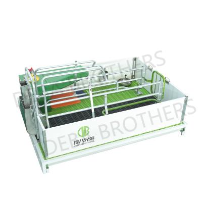 China Sow and piglet pig farm design crate pig farrowing pen on pig farm direct sale for sale