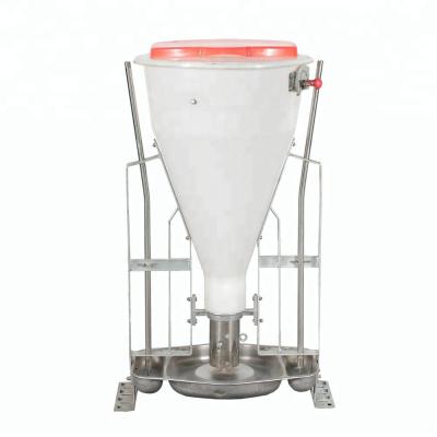 China Plastic Convenient Poultry Equipment Automatic Feeder For Pigs Wet Dry Feeder for sale