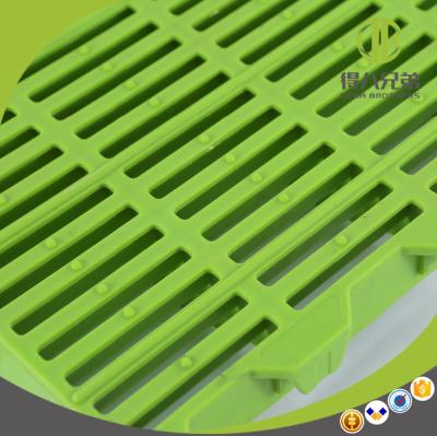 China Various Pig Farm Equipment Plastic Slat Floor Flooring for sale