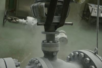 Chine Valve cryogénique de type flottant pour la distribution de GNL à vendre