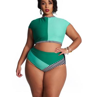 China Breathable Plus Size Women's 2 Pieces Women's Swimwear Swimwear 2021 for sale