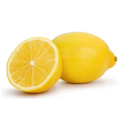 China Fresh and popular healthy recommend lemon with best quality for sale