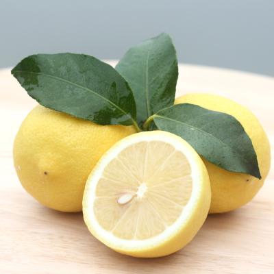 China Sichuan Healthy Wholesale Fresh Fruit Lemon With Best Taste for sale