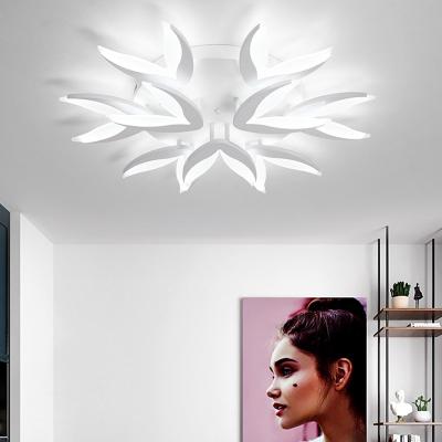 China Creative shape ceiling light indoor outdoor mounted lead acrylic led ceiling mount light with remote control led lighting for living room for sale