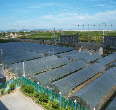 China Easily Assembled Chinese Style Sunlight Lean To Cover Solar Greenhouse for sale