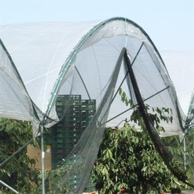 China Easily Assembled Greenhouse Structure Anchor Stake In Horn Shape for sale