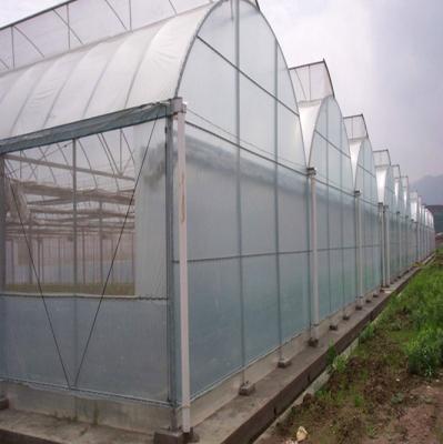 China PE multi-span greenhouse with polyfilm tarpaulin for vegetable grow for sale