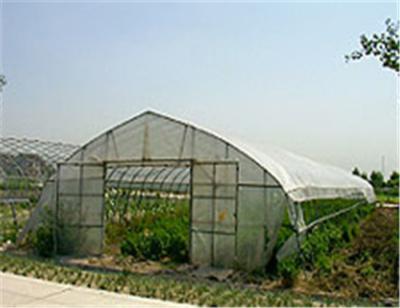 China Hinged Greenhouse Steel Or Vertical Sliding Doors, Aluminum for sale