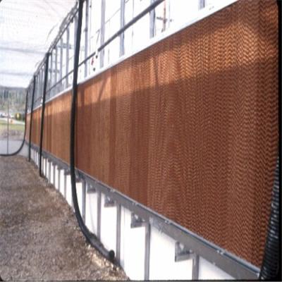 China Easily Assembled Greenhouse Cooling Protection Wall With Aluminum Frames for sale