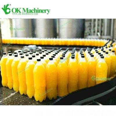 China BK-YP033 Factory Price Fruit Pineapple Juice Production Line PET Complete Bottle Filling Machine for sale