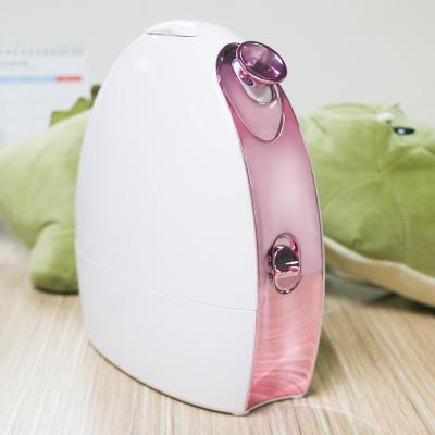 China DEEP CLEANSING CE RoHS Certified Professional Nano Facial Steamer Ionic Face Humidifier For Skin Moisturizing for sale