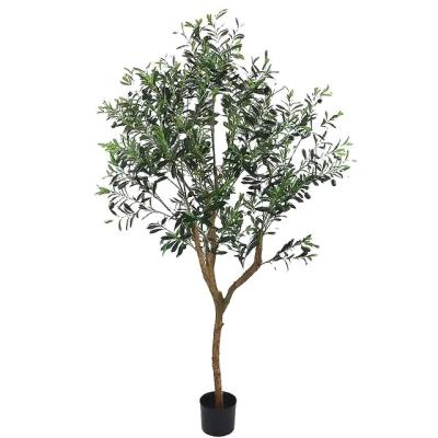 China Minimalist 6ft Natural Olive Wood Artificial Bonsai Trees For Sale for sale