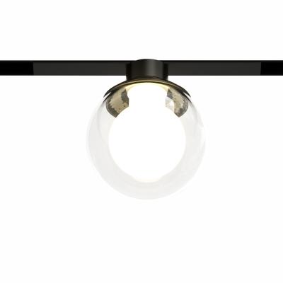 China 48VDC 24VDC 3W 15MM Flexible Glass Ball Light Mini Round Track Residential Decorative Global Magnetic Spot Light for sale