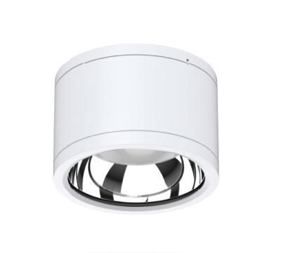 China EUROPEAN 25W 35W 214D 119Hmm Round Commercial LED Ceiling Light Outdoor Mounted Ceiling Spot Lamp for sale