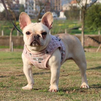 China Arnes De Perro Luxury Dog Leash And Sublimation DETACHED Harnesses With Fashion Pet Harness Reflective Lightweight Vest Te koop