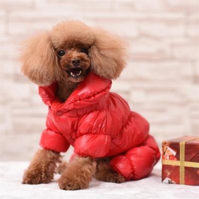 Chine Viable Luxury Designer Dog Clothes Ropa Para Perro Pet Apparel Wholesale Ropa Mascotas De Perro Dogs Large à vendre