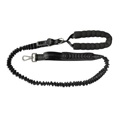 China Reflective Strong Custom Hands Free Bungee Reflective Logo Running Walking Increasing Pet Car Double Handle Dog Leash for sale